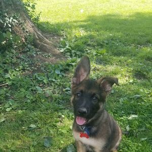 Meet your Posher, Justin